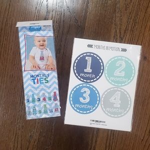 Baby's First Year monthly milestone stickers